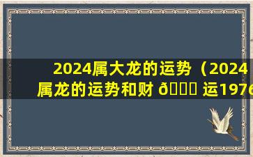 2024属大龙的运势（2024属龙的运势和财 🐟 运1976年）